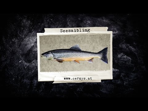 rolling-pin-video-10000-321