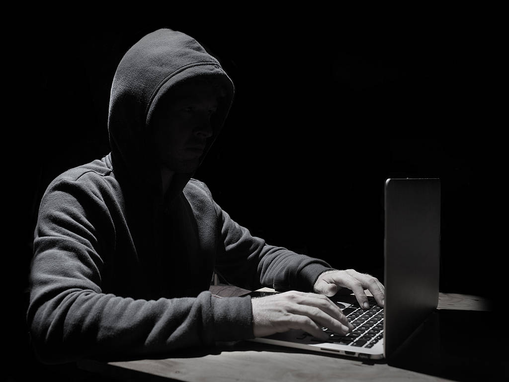 csm_Fruehsammer-header_4c1c32989d