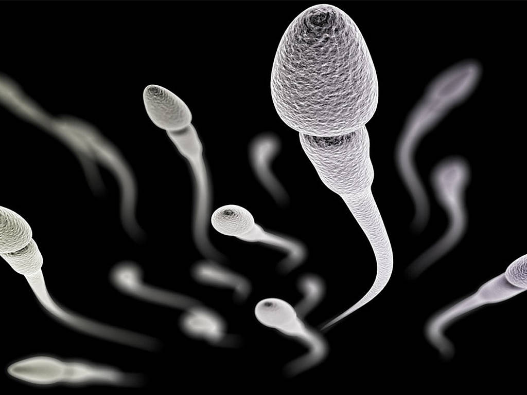 csm_Sperma-Header_bbcdc52484