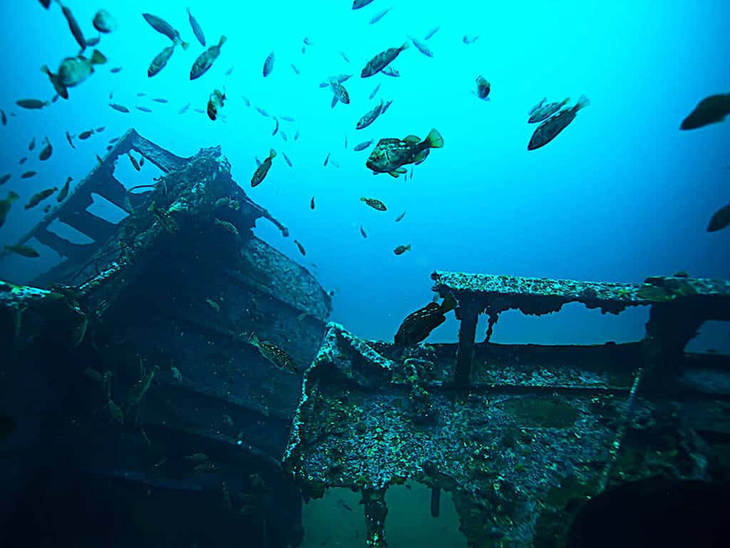 csm_Schiffswrack_Header_5d6a187701