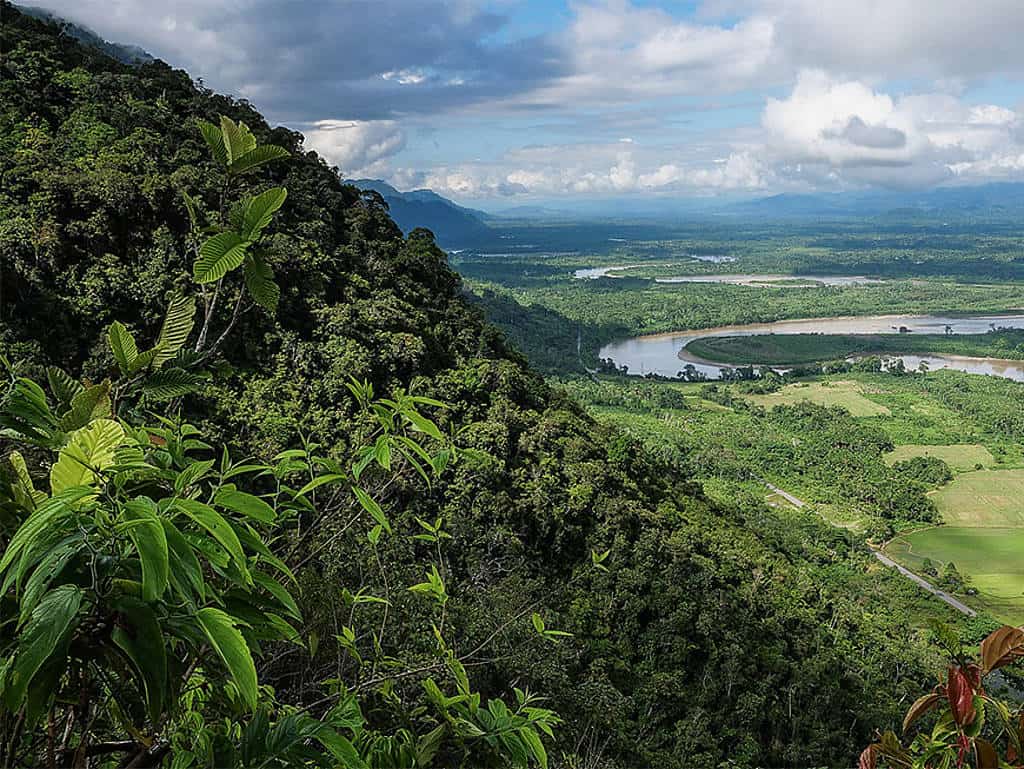 csm_rp236-pr-header2_6a7f374b0a