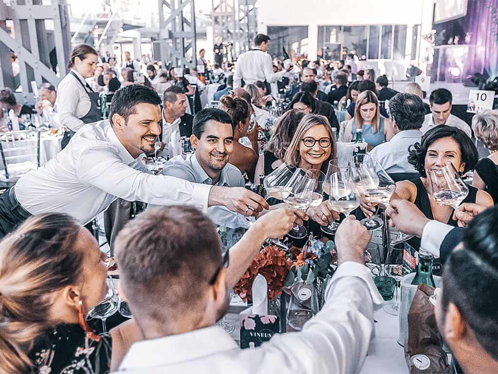 csm_rp238_Vineus_header_f3e8a59b36