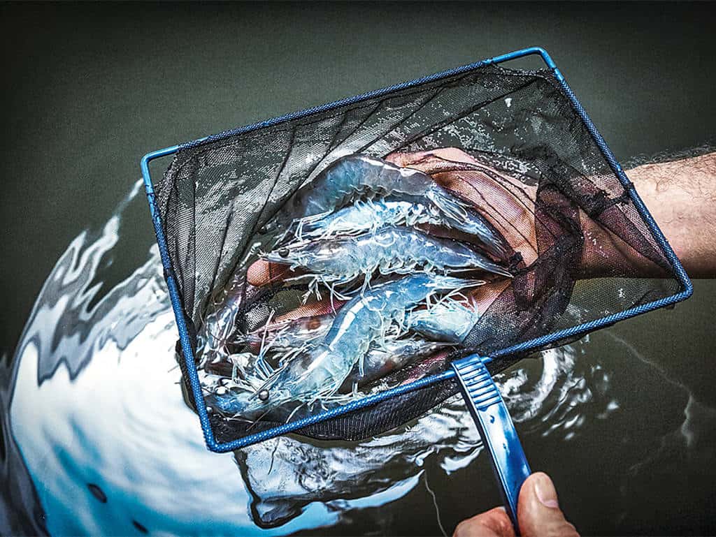 csm_rp238_aquakulturen_header3_e0587e7dc0