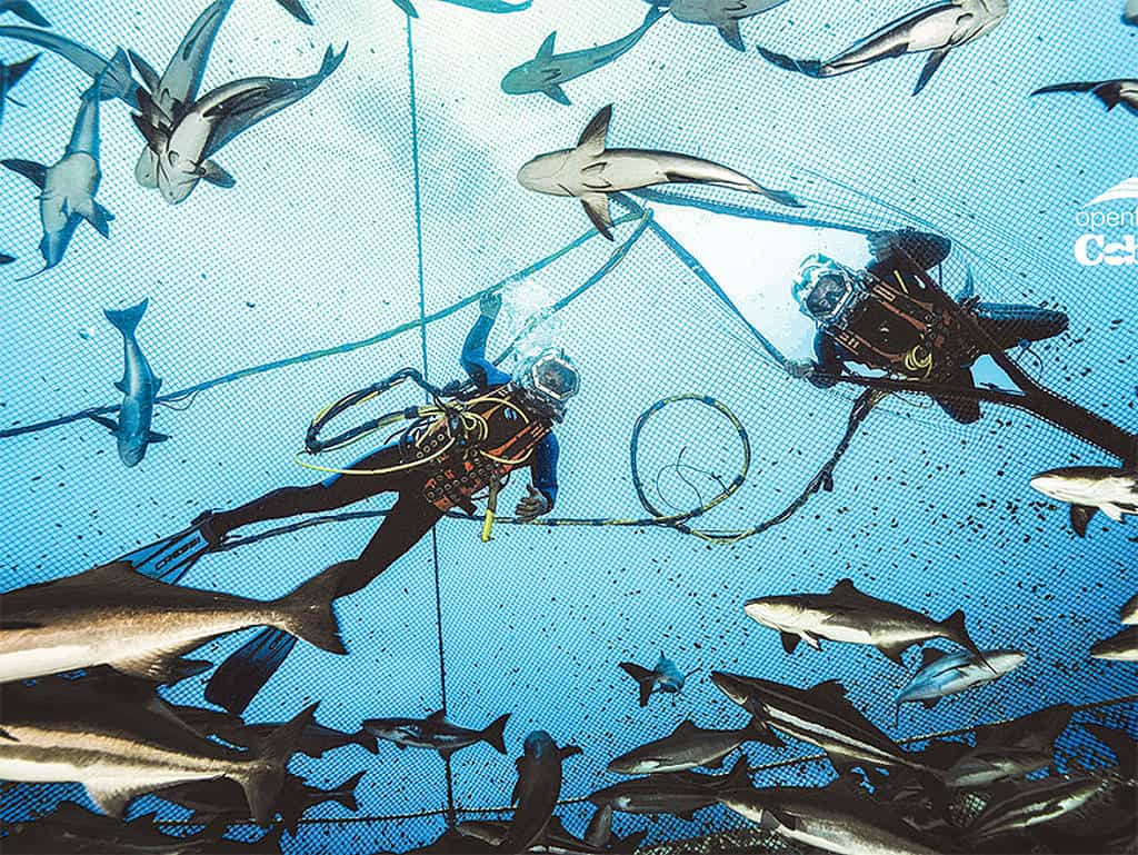 csm_rp238_aquakulturen_header5_4f9ee41040