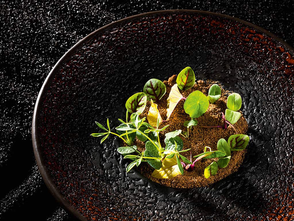 csm_rp238_chefdays_Maksims-Cekots_header2_3d31629587