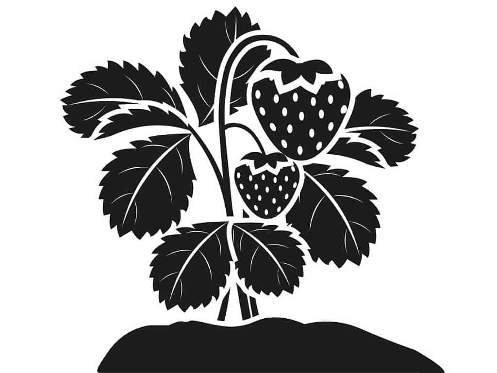 csm_rp239_wer-nicht-fragt_header_6b21474e80