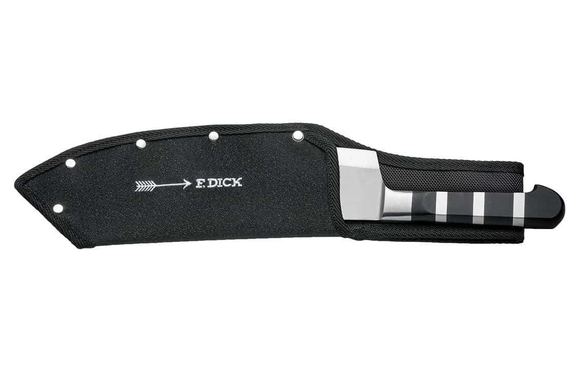 rp245-pr-dick-2