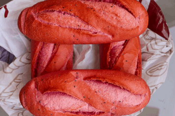 4d0f92815150dad65d0b1fcdd4a4079b74221f86-800x600.jpg-356x237