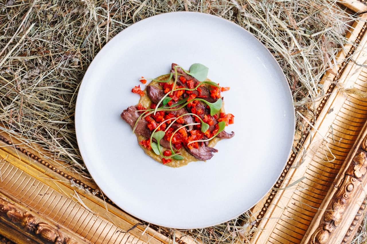 036aed15-6e2f-4642-875b-0ab3cb7585d2