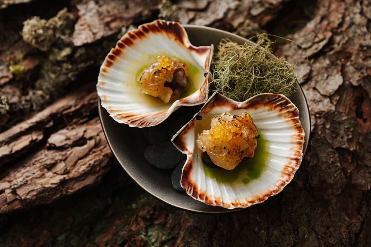 8f297df5-0b47-4b11-a41f-615986b8dc32