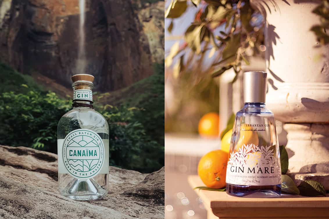 rp251-pr-morandell-1