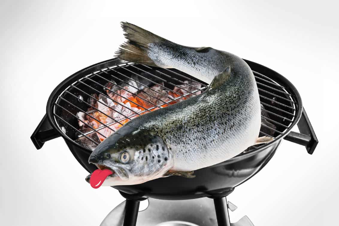 rp253-md-grillen-bbq-2