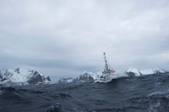 foto_johan_wildhagen-7188