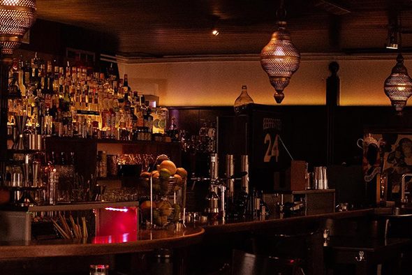 monkey-university-e1653403456991