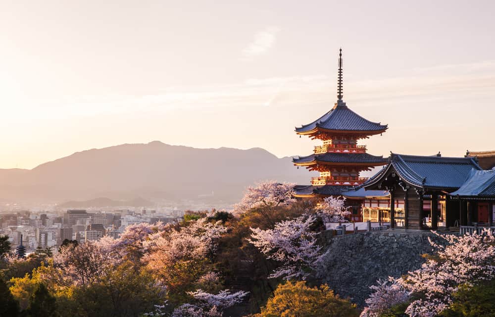 shutterstock_403209976_kyoto-sakura