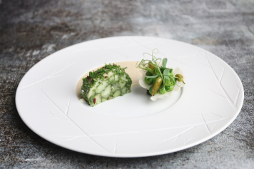 1739_VSP3_Paula-St├Ager_Rookie-356x237