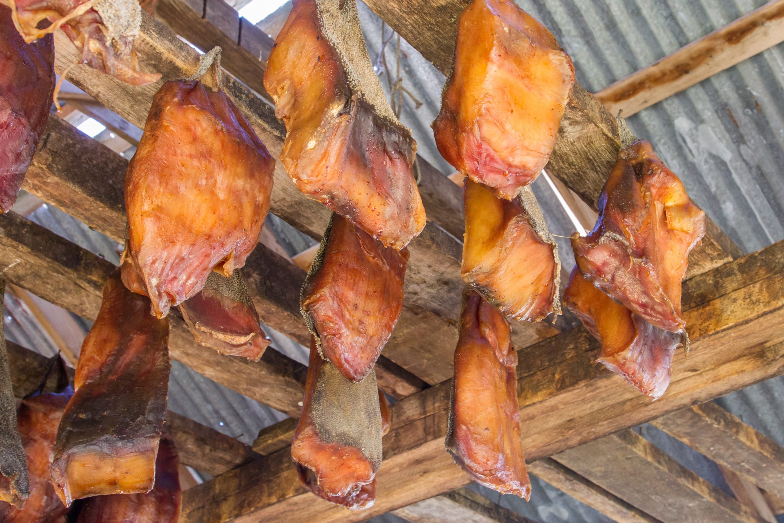 shutterstock_2406682423-scaled