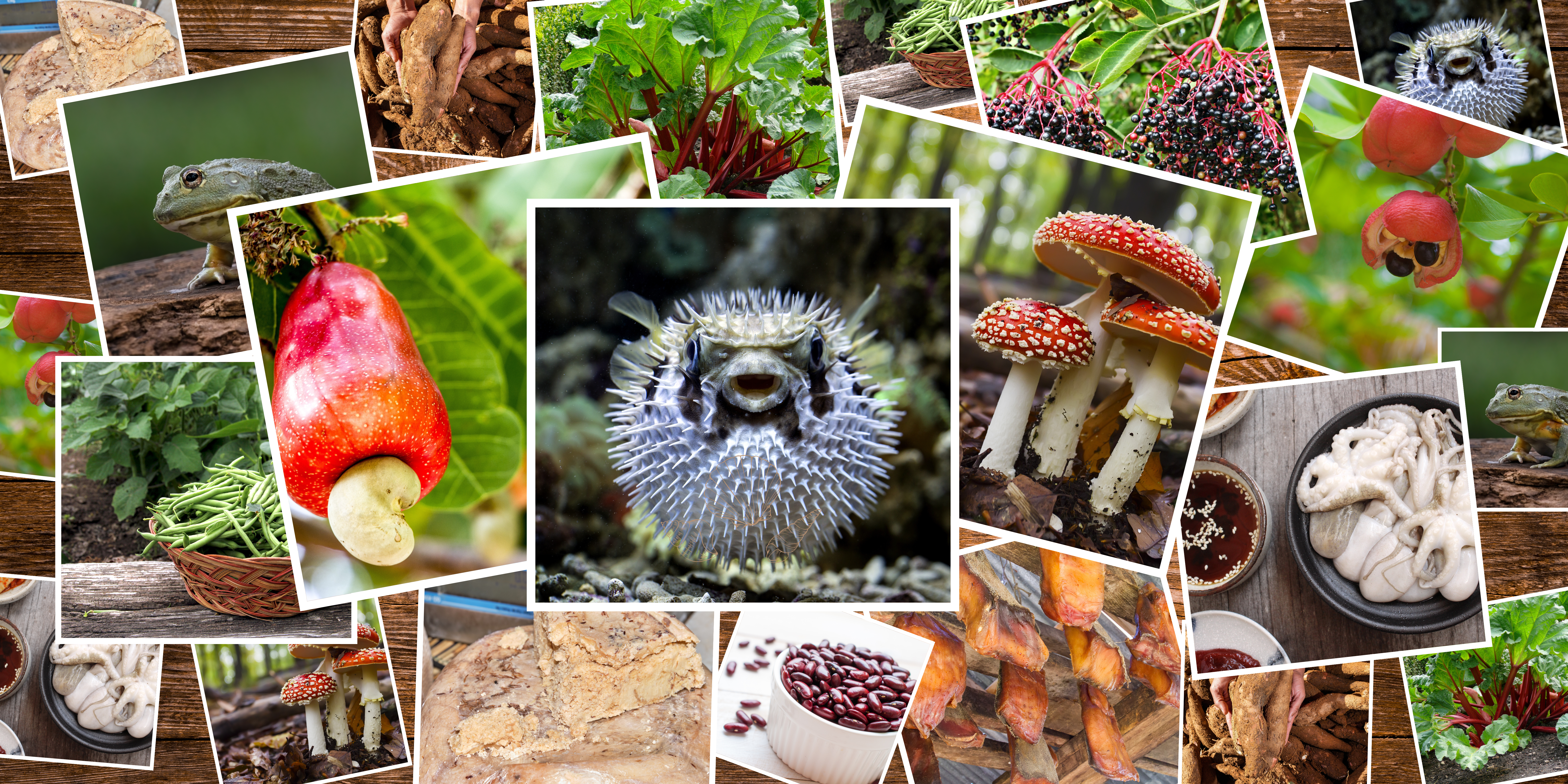 tödlichste-Lebensmittel