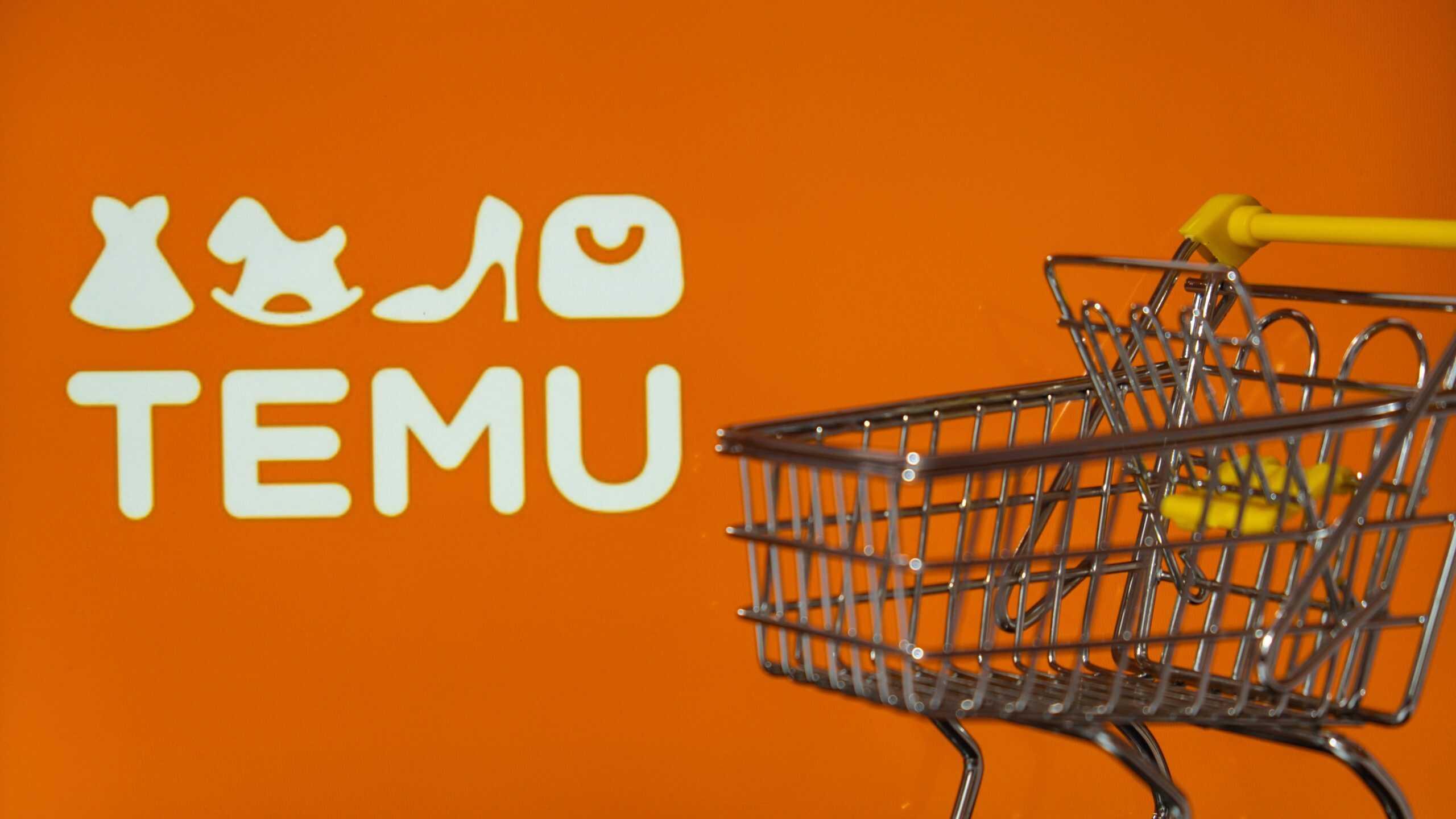 shutterstock_2311520111-scaled