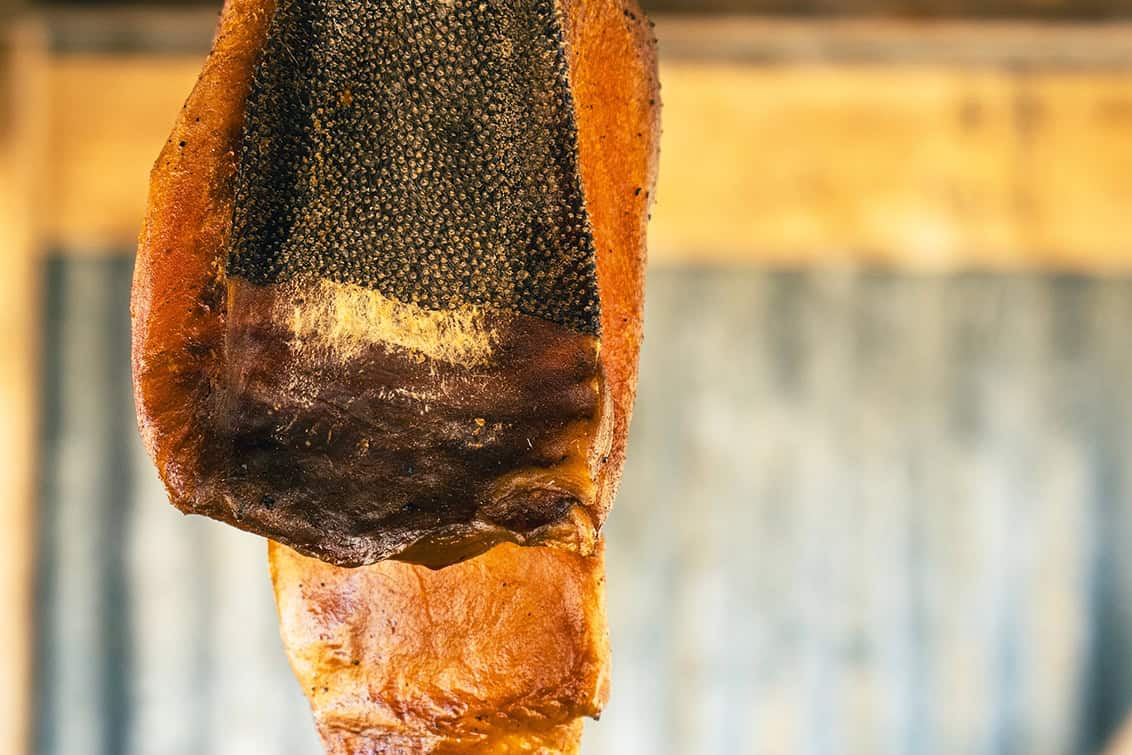 rp289-fb-max-stiegl-2