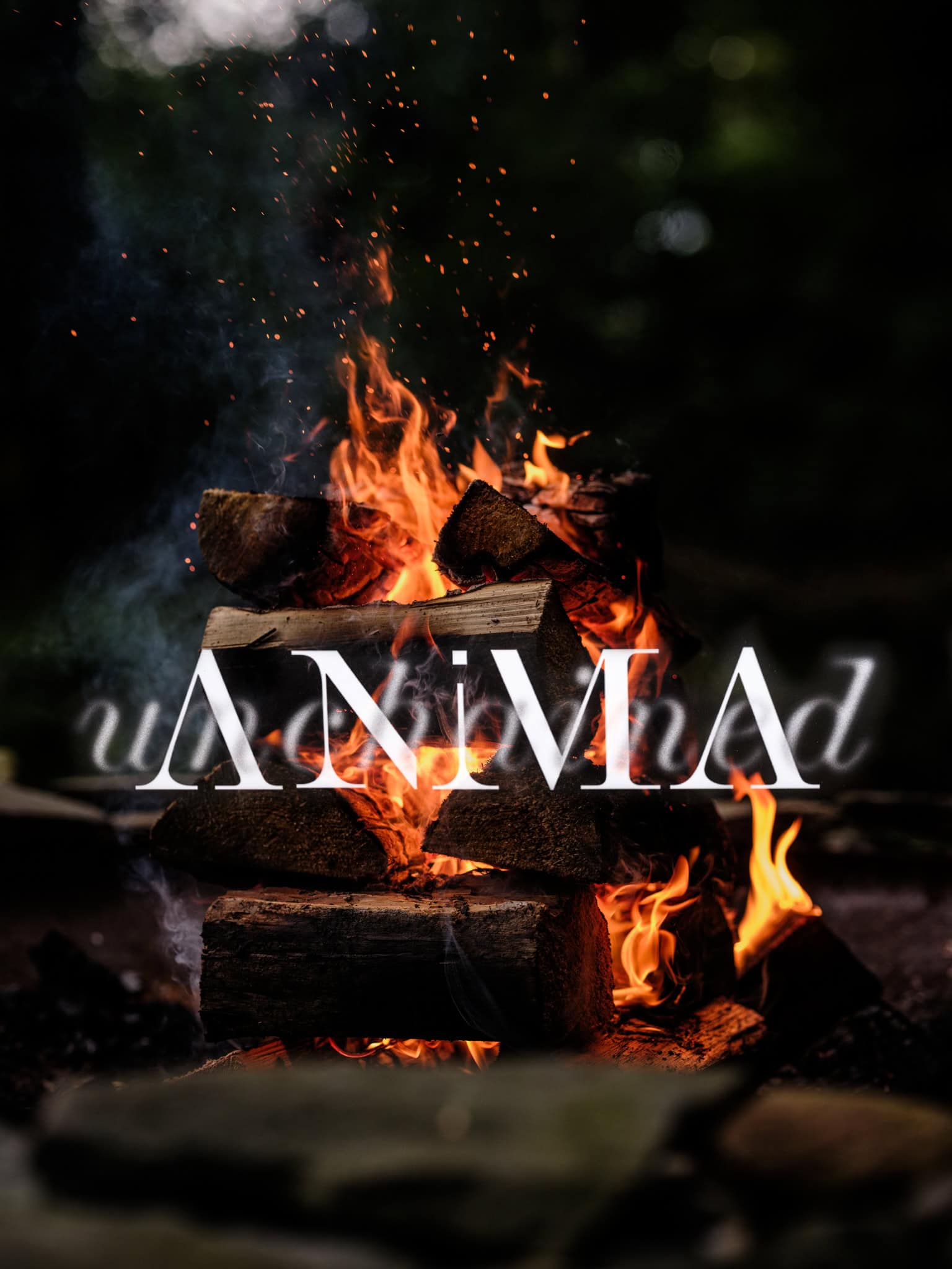 ANIMA unchained geht Anfang 2026 in die nächste Runde | Foto: Pieter D Hoop