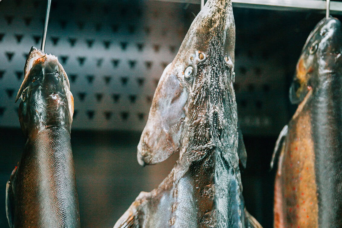 rp290-cs-hermann-baetz-11