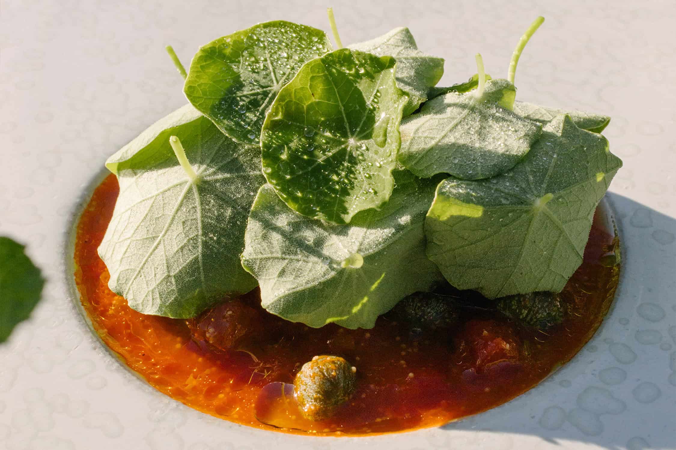 Saziani-Gemuese-C-Zanshin-Kuge