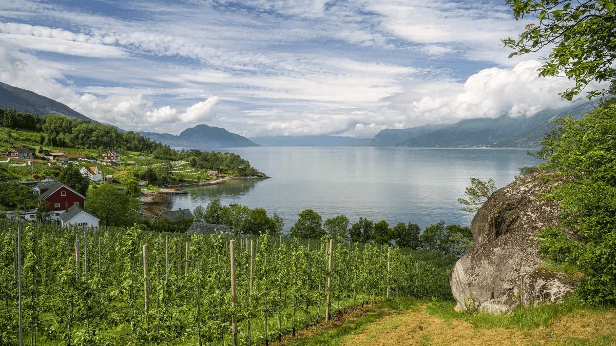 imago0166538493h-Jankowski-norwegen