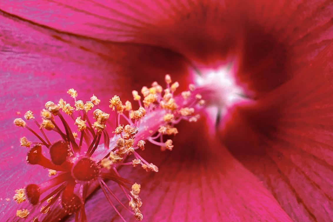 rp291-spst-non-alk-drinks-7