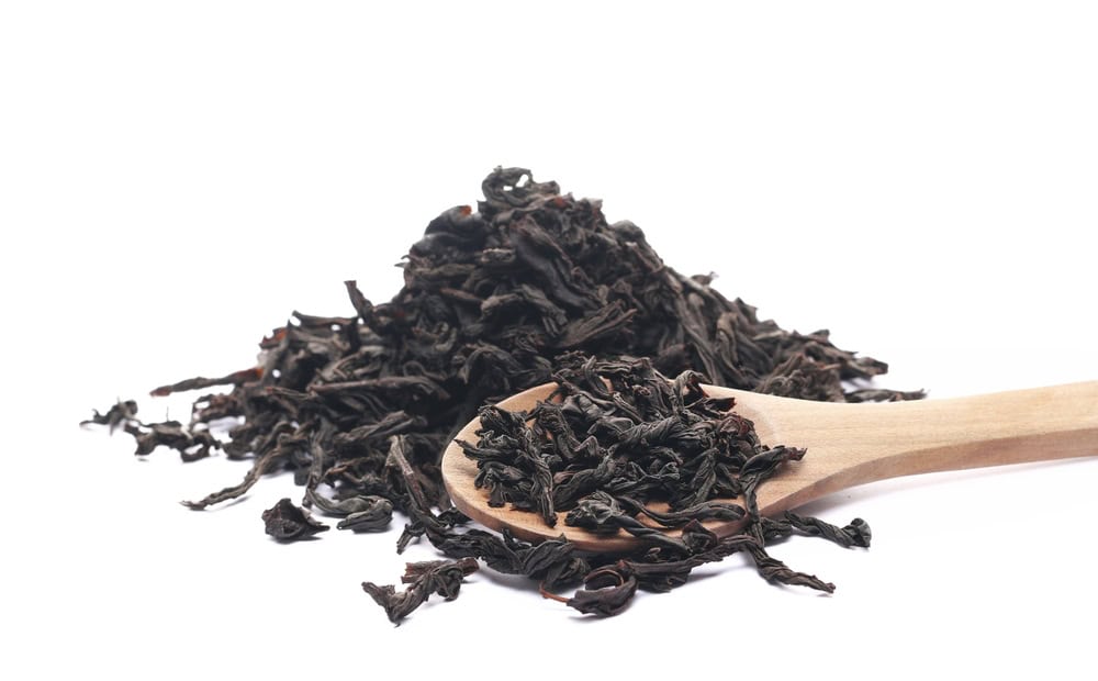 shutterstock_2451455089