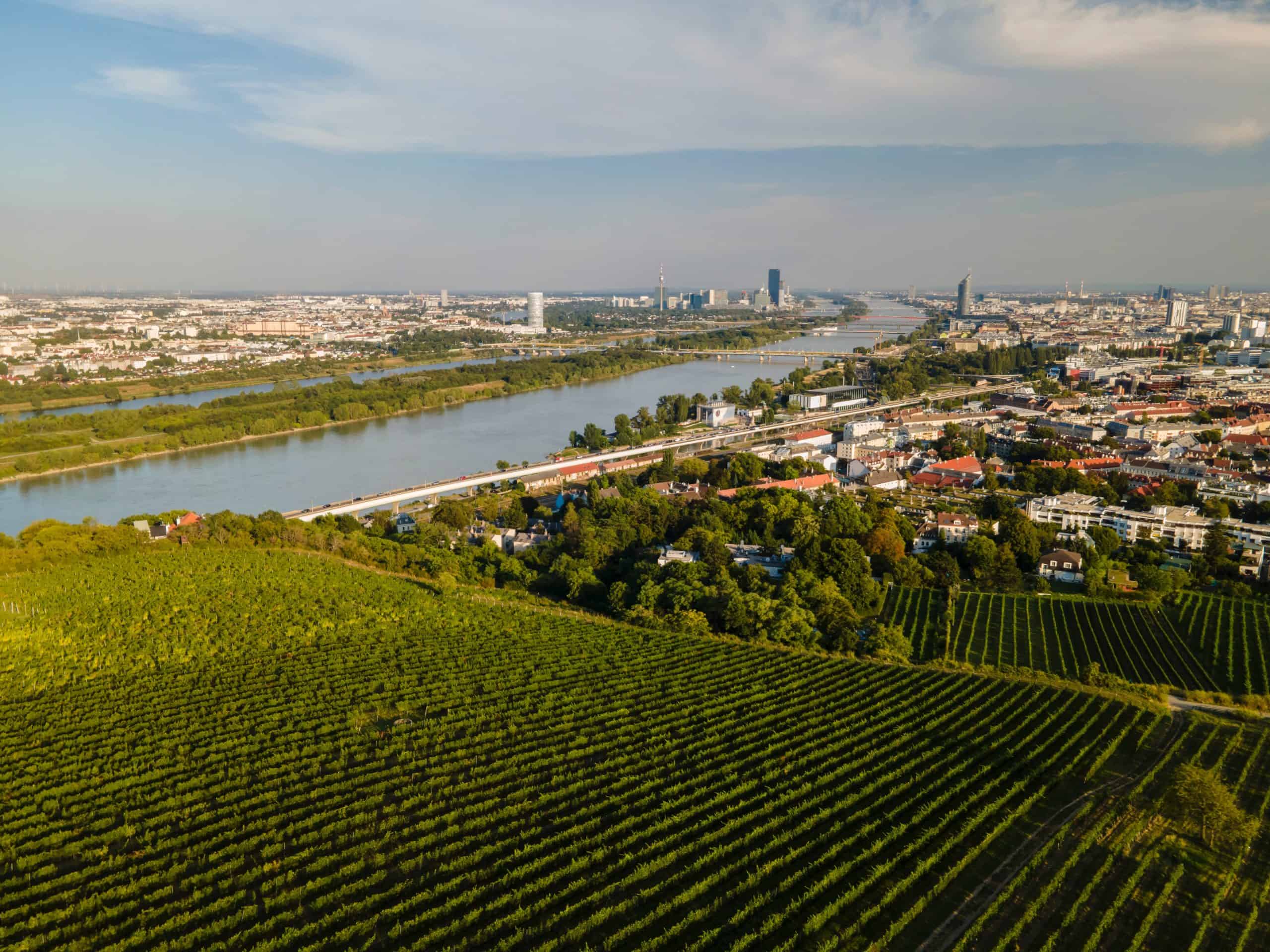 shutterstock_2668155031-scaled