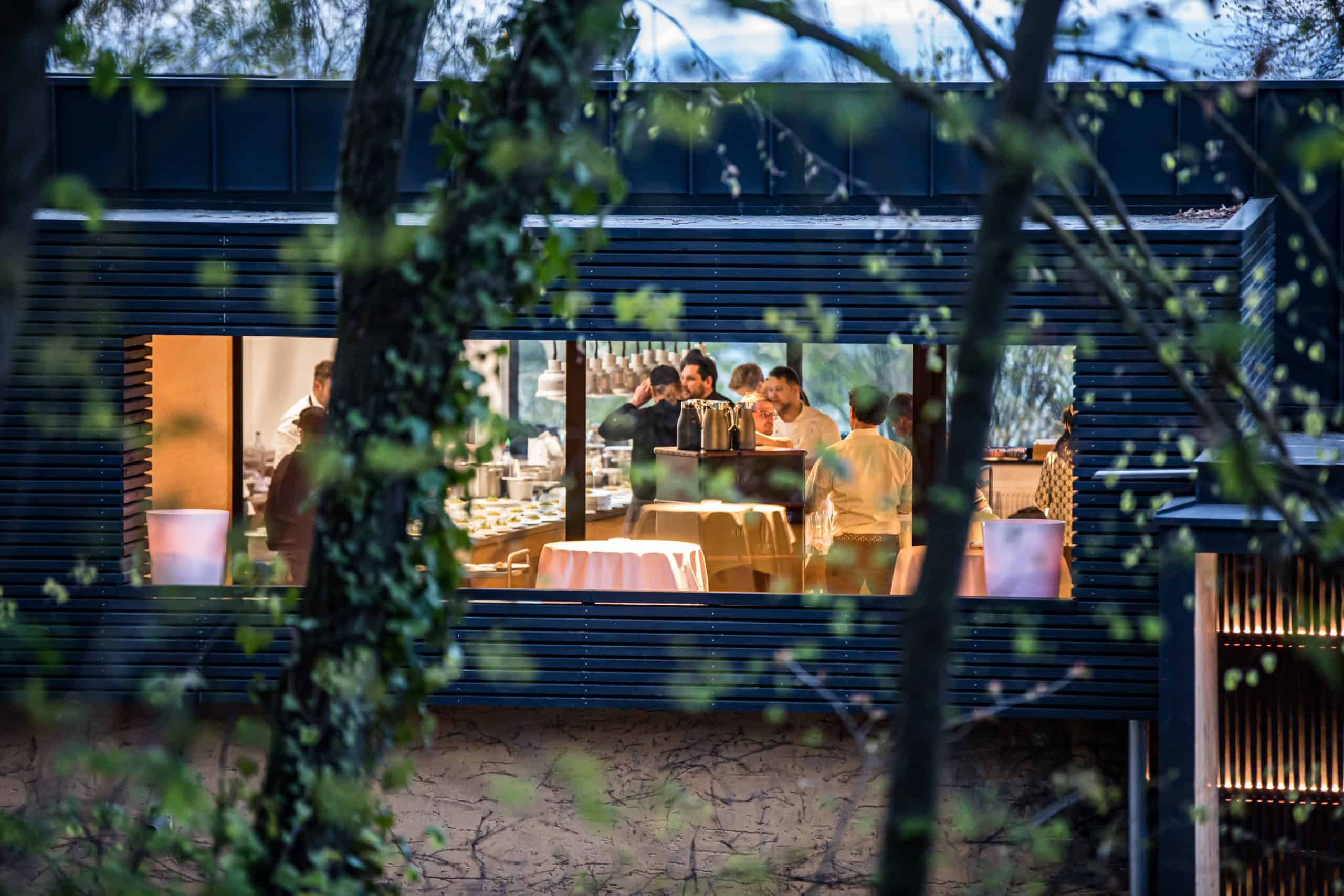 jockl-kaiser-malzboden-fotohirsch-12448-055-scaled