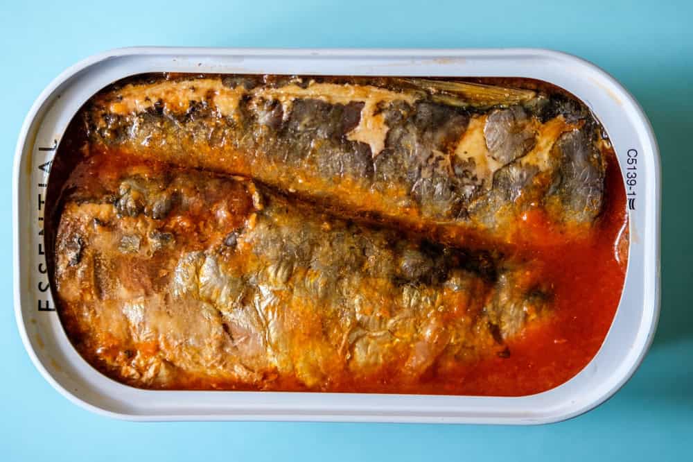 shutterstock_2611454141