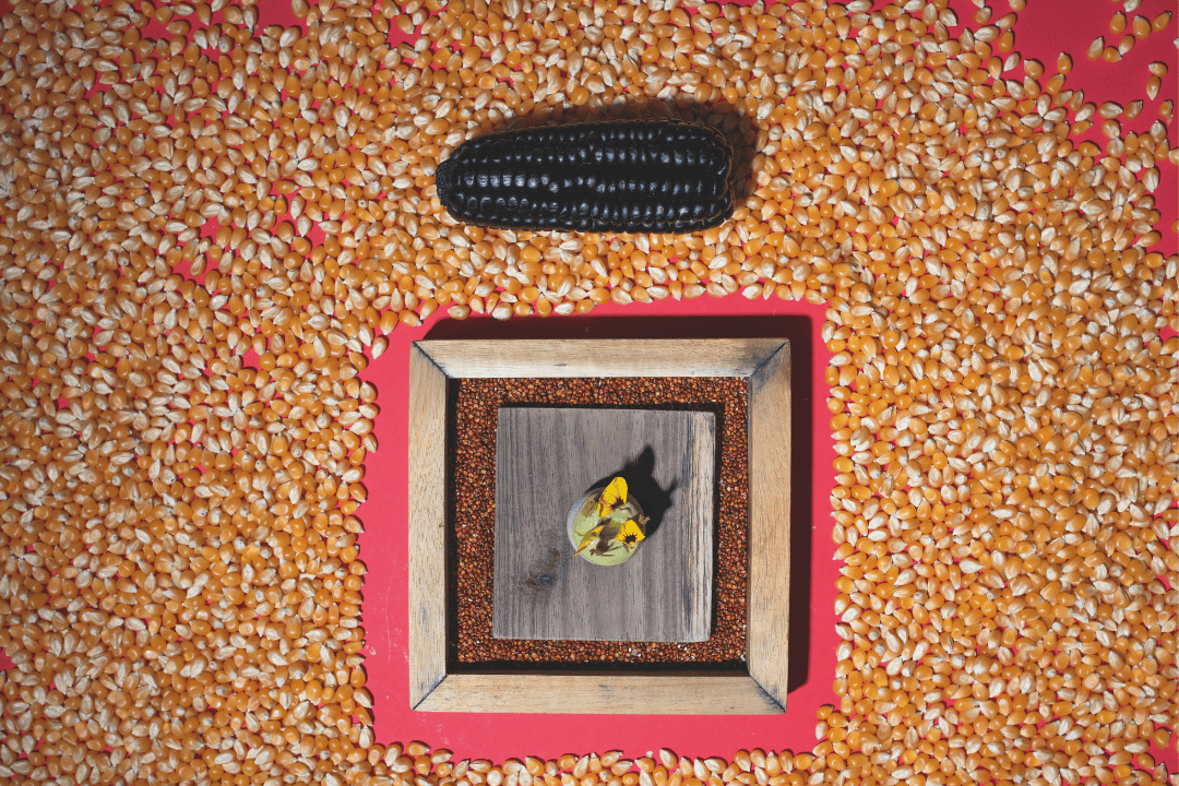 Gericht von Diego Briones