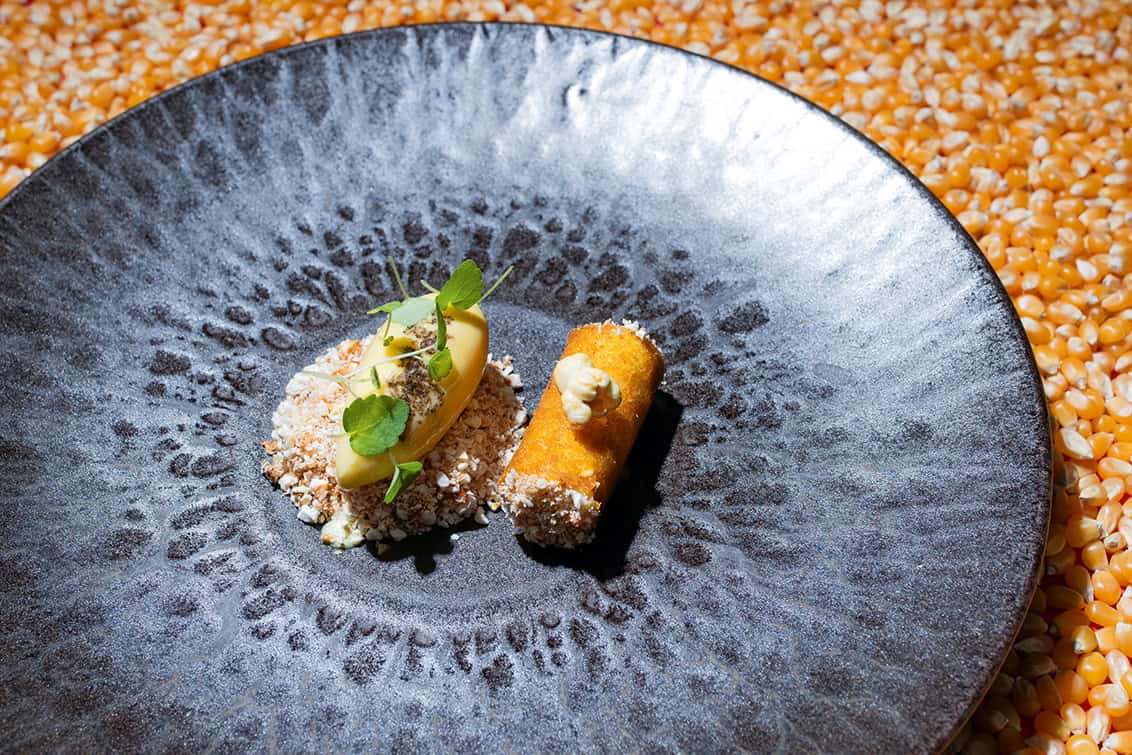 rp292-cotm-diego-briones-3