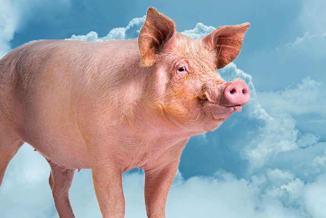 rp292-fb-glaubensfrage-08